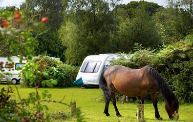 Hampshire - Campsite - Ocknell and Longbeech Caravan Park and Camping Sit