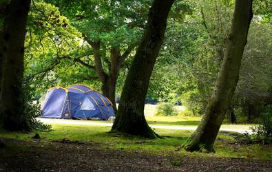 Ashurst Caravan and Camping Site, Ashurst,Hampshire,England