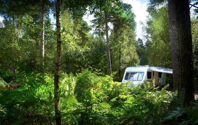 Setthorns Caravan Park and Campsite