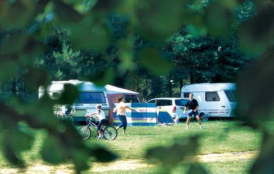 Norfolk - Campsite - Thorpe Caravan Park and Campsite