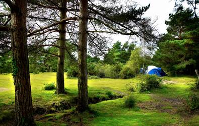 Roundhill Caravan & Camping Site