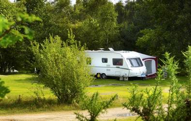 Dorset - Campsite - Holmsley Caravan & Camping Site