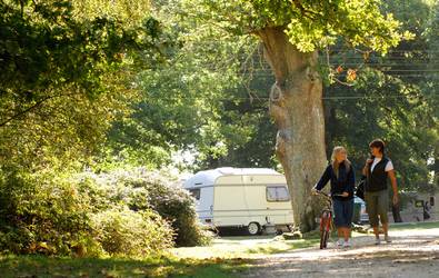 Hollands Wood Caravan and Camp Site