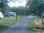 Berkshire - Campsite - Amerden Caravan & Camping Site