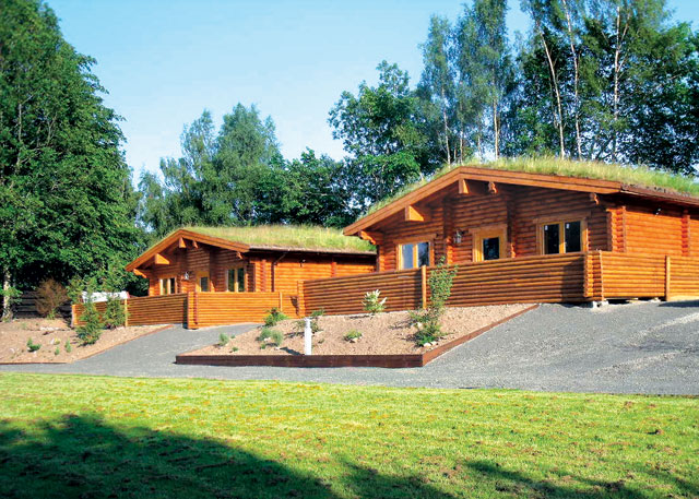 Beech Hedge - Holiday Parks, Caravan Holidays in Perth and Kinross