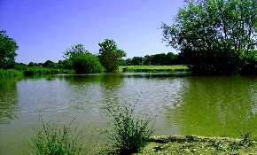 Blacklands Farm Camping