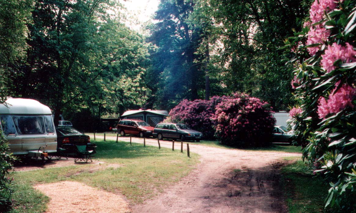 Berkshire - Campsite - California Chalet & Touring Park