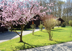 Eversleigh Woodland Lodges - Holiday Parks, Caravan Holidays in Kent