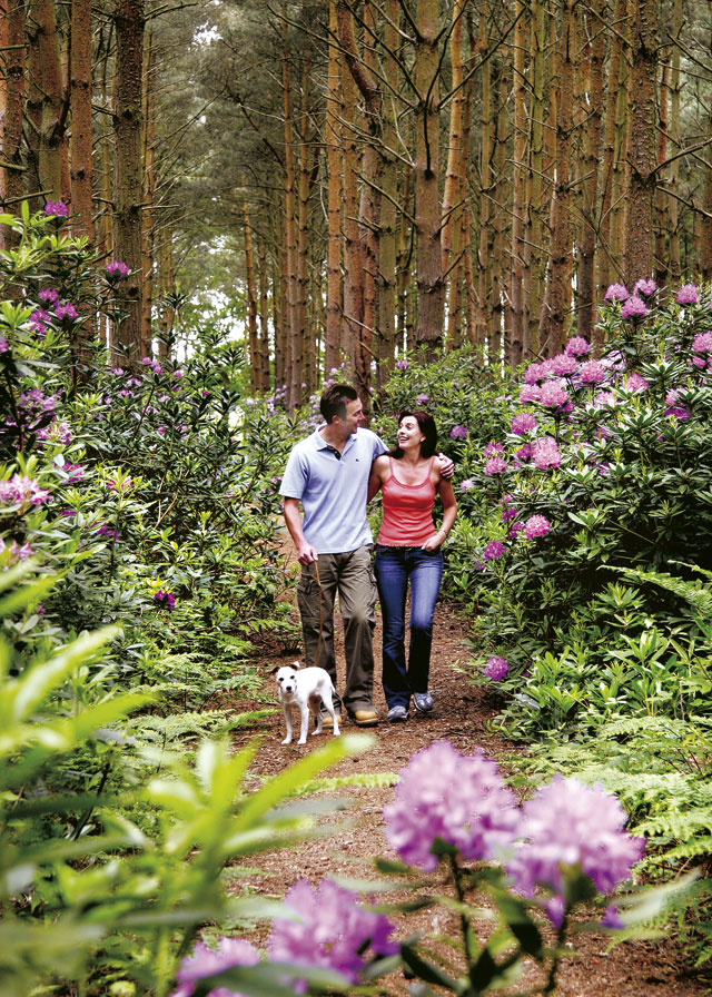 Griffon Forest - Holiday Parks, Caravan Holidays in Yorkshire