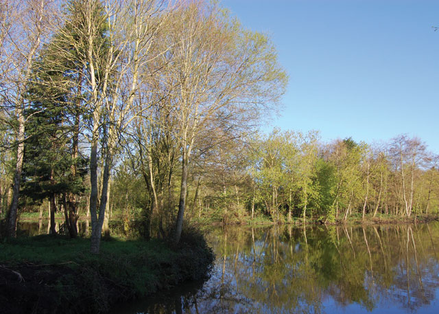 Lakeview Cottages - Holiday Parks, Caravan Holidays in Somerset