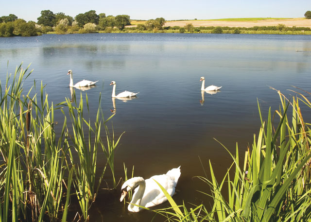 Kingfisher Apartments - Holiday Parks, Caravan Holidays in Norfolk