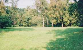 Mellow Farm Campsite