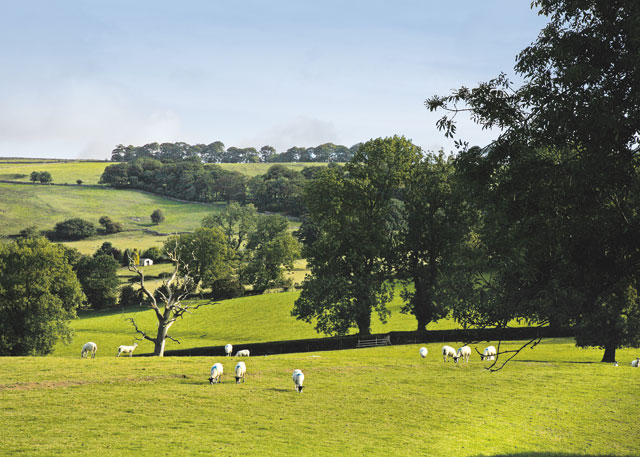 Thanet Well Lodges - Holiday Parks, Caravan Holidays in Cumbria