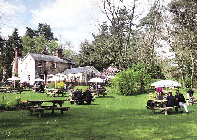 Tilford Woods - Holiday Parks, Caravan Holidays in Surrey