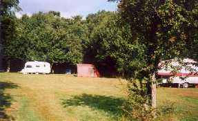 Berkshire - Campsite - Treetops Campsite