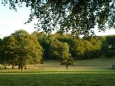 Hampshire - Campsite - Vicarage Farm Cl