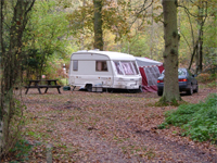 Berkshire - Campsite - Wellington Country Park