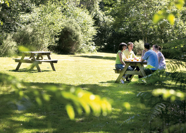 Woodland Lodges - Holiday Parks, Caravan Holidays in Carmarthenshire