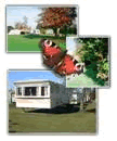 Bowdens Crest Caravan & Camping Park