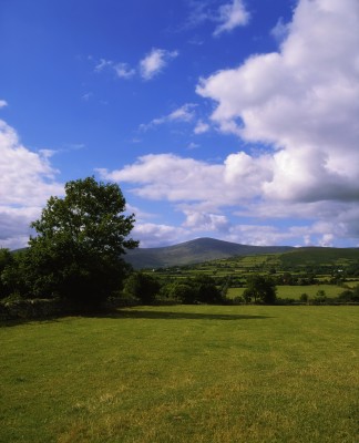 County Carlow