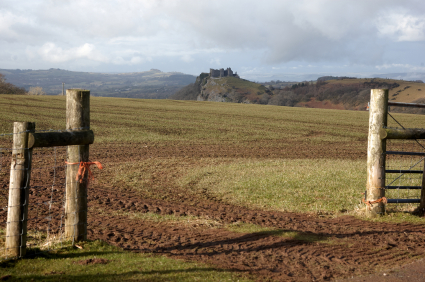 Local image of Carmarthenshire