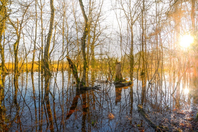 Local image of Drenthe