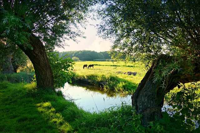 Local image of Flevoland