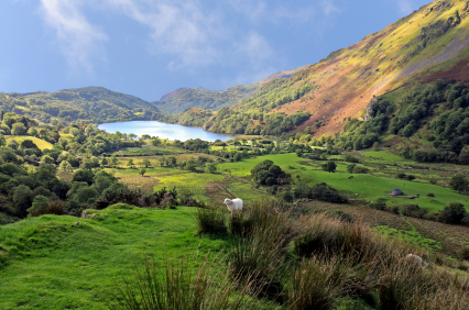 Local image of Gwynedd