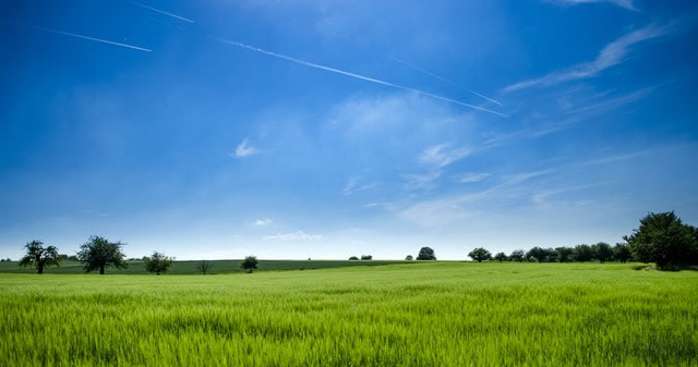 Local image of Landes