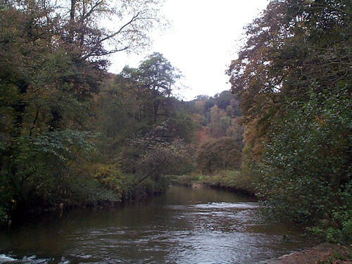 Local image of Leicestershire