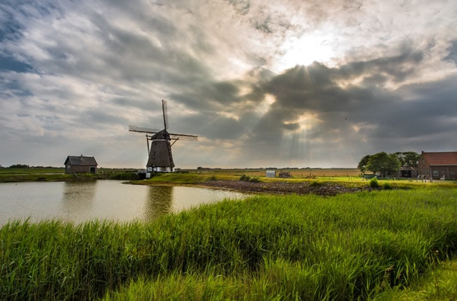 Local image of North Holland