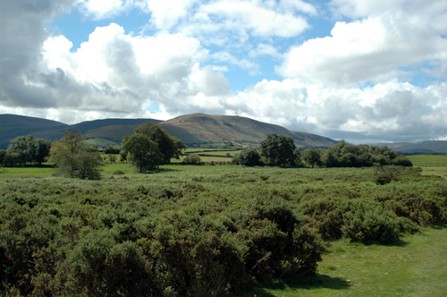 Local image of Powys