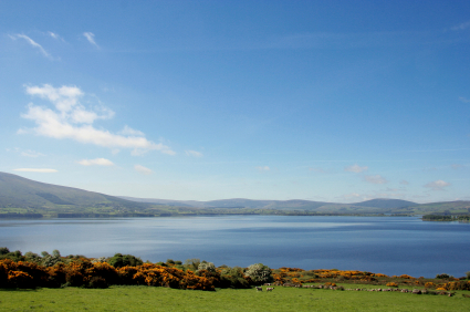 Local image of Wicklow