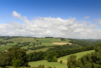 Rural scene in the heart of england